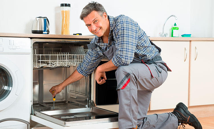 Ремонт посудомоечных машин Аско на дому в Москве